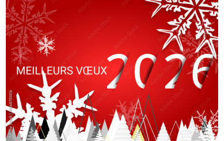 meilleurs vœux 2026
